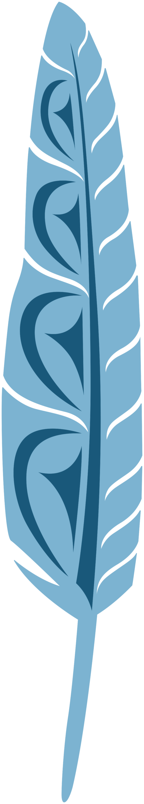 Study Areas icon