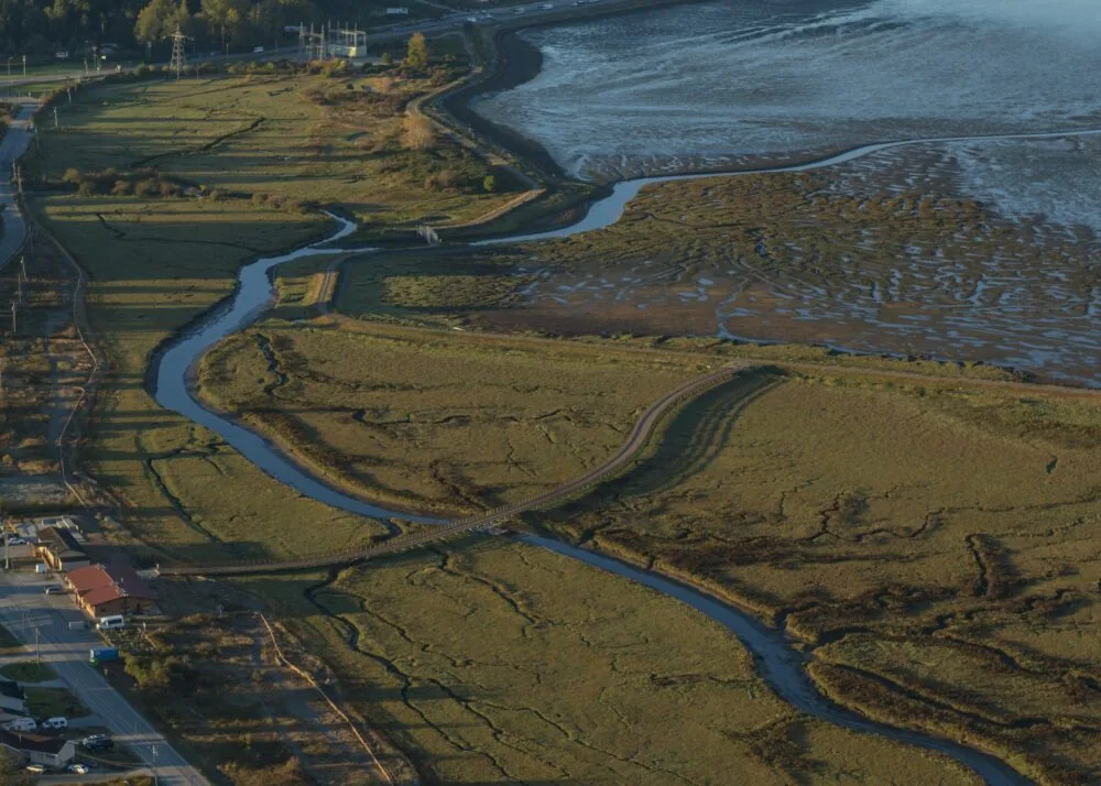 Aerial view of a tidal marsh with meandering channels and a bridge crossing a waterway.
